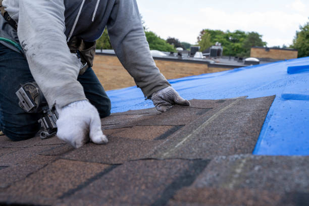 Best Gutter Installation and Roofing  in Green Oaks, IL